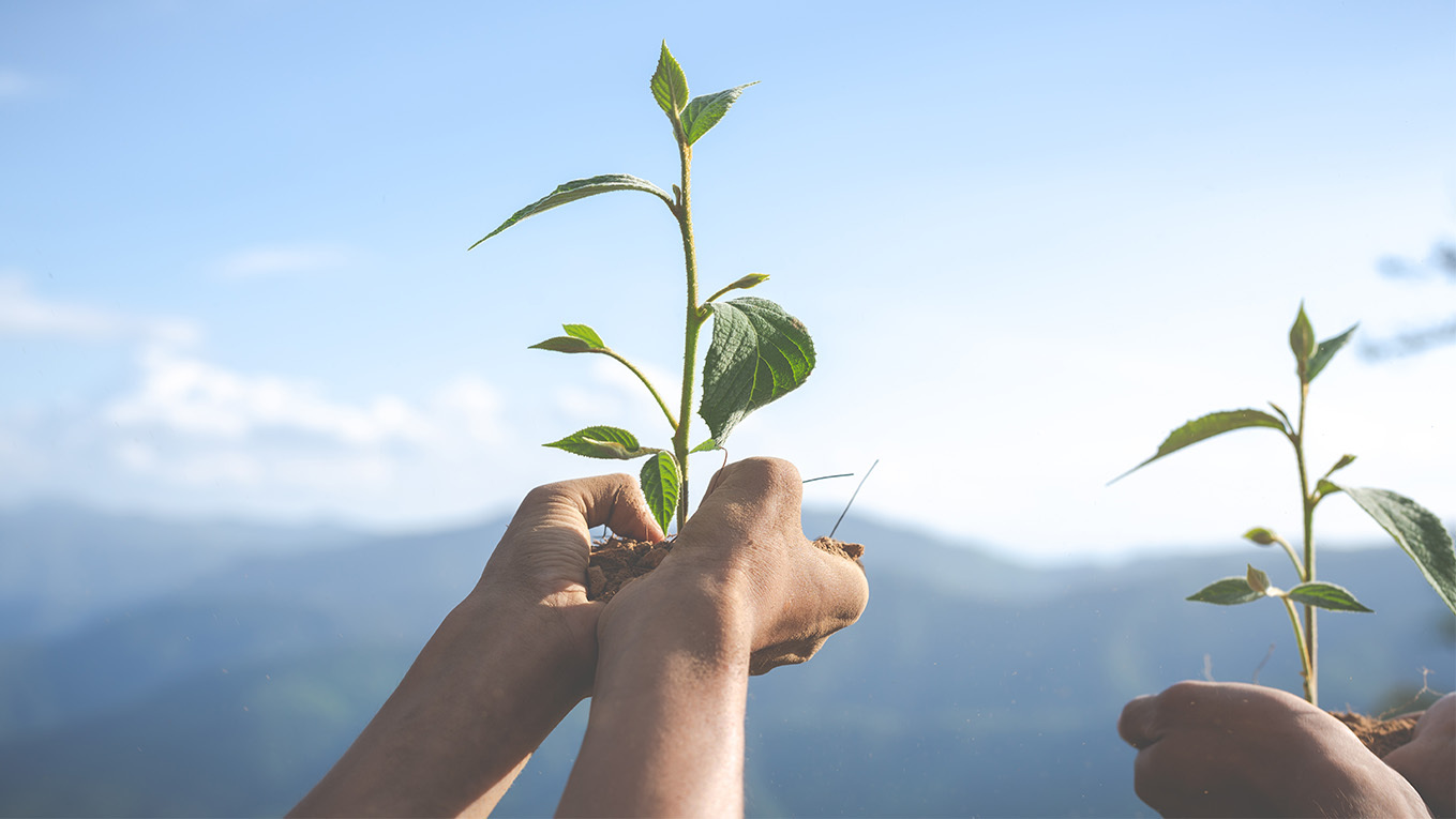 Empowering property owners to drive portfolio sustainability