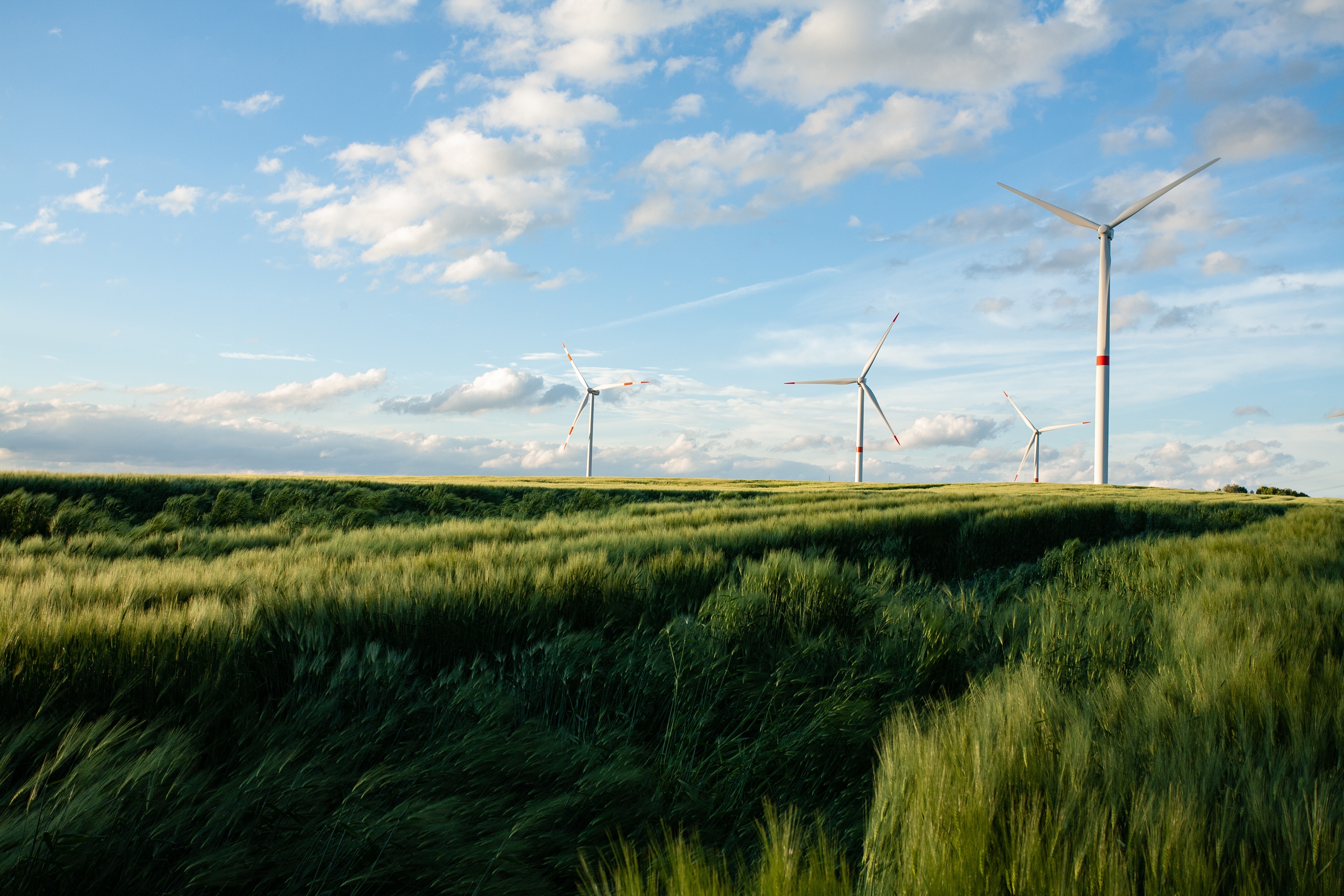 Streamline your ESG reporting
